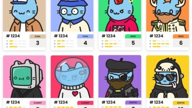 A collection of Cool Cats NFT avatars