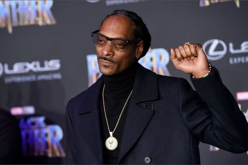 Snoop Dogg later revealed that he is the NFT Kingpin, Cozomo Medici