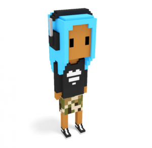 A Meebits Avatar