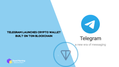 Telegram Launches Crypto Wallet Built on TON Blockchain