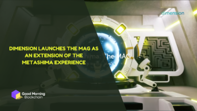 Dimension Launches the MAG As An Extension Of The Metashima Experience