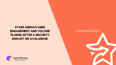 Stars Arena's User Engagement and Volume Plunge After a Security Exploit on Avalanche