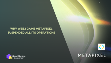 Why Web3 Game METAPIXEL Suspended All Its Operations