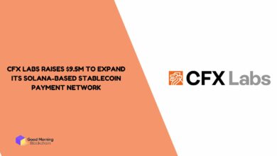 CFX-Labs-Raises-9.5M-to-Expand-Its-Solana-Based-Stablecoin-Payment-Network