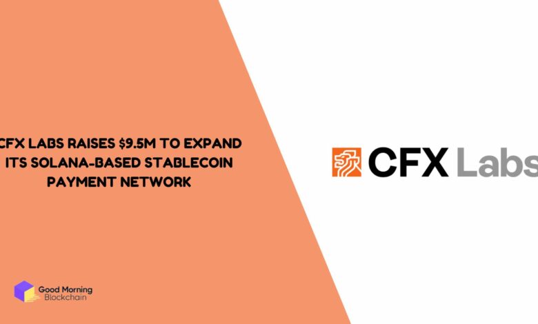 CFX-Labs-Raises-9.5M-to-Expand-Its-Solana-Based-Stablecoin-Payment-Network