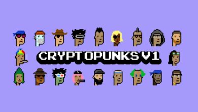 CryptoPunks-V1-wrapped
