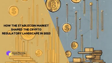 How-The-Stablecoin-Market-Shaped-the-Crypto-Regulatory-Landscape-in-2023