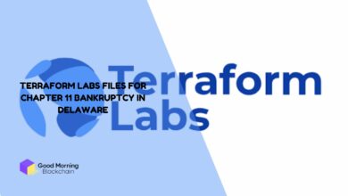 Terraform-Labs-Files-for-Chapter-11-Bankruptcy-in-Delaware
