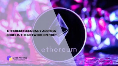 Ethereum-Sees-Daily-Address-Boom-Is-the-Network-on-Fire