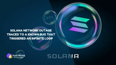 Solana-Network-Outage-Traced-to-a-Known-Bug-That-Triggered-an-Infinite-Loop