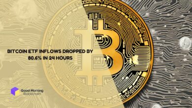 Bitcoin-ETF-inflows-dropped-by-80.6-in-24-hours