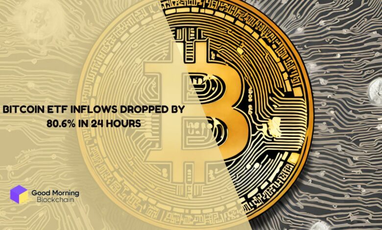Bitcoin-ETF-inflows-dropped-by-80.6-in-24-hours